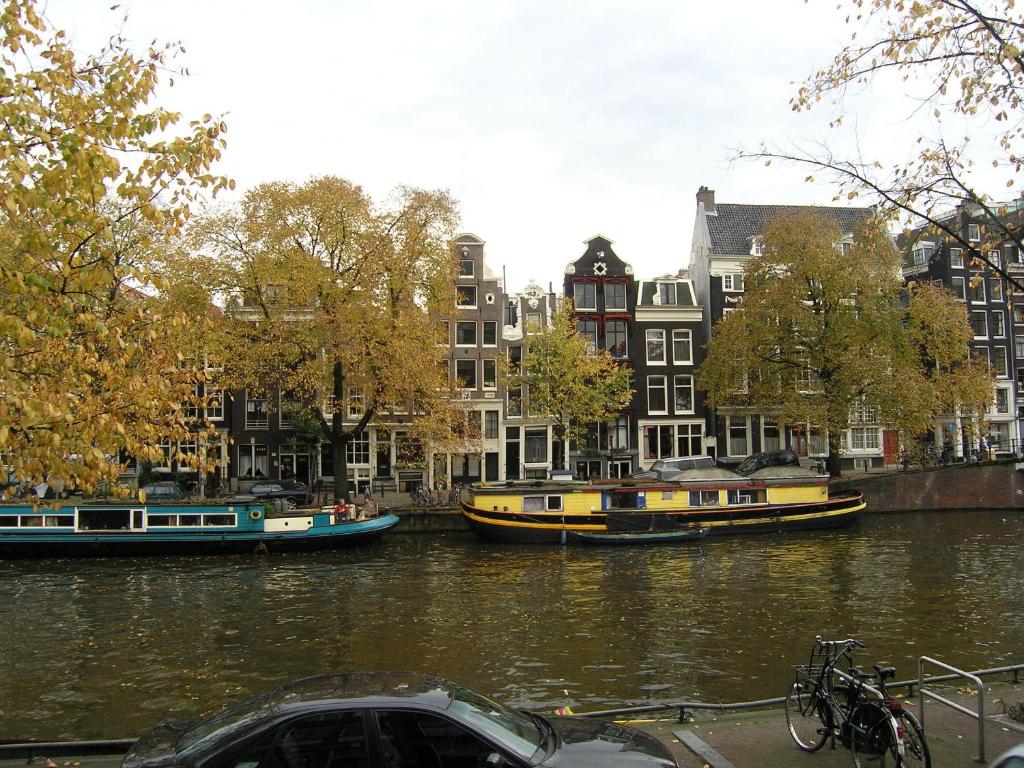 Амстердам. Сингл. Фото из сети