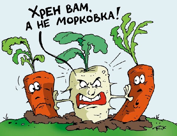 Хрен не морковка (pikabu.ru)