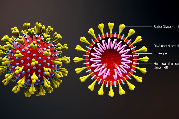 Сoronavirus