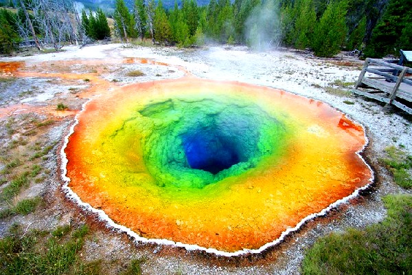 Бассейн Morning Glory