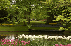 keukenhof_03061197