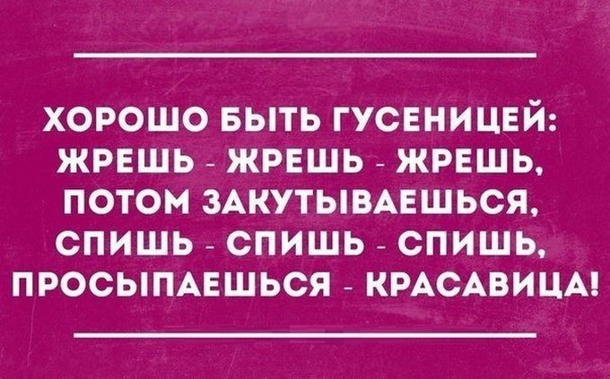 26 открыток от мастеров сарказма открытки, сарказм, юмор