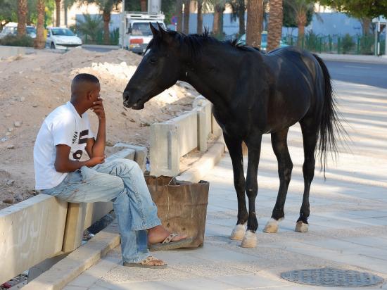 aqaba01_1.jpg