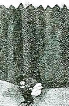 kosel_40 kosel_40