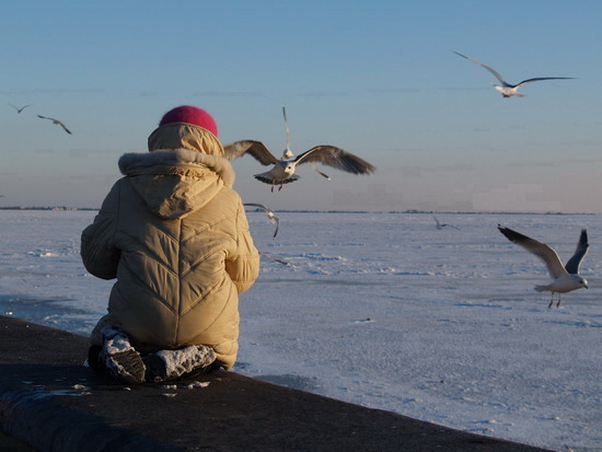 seagul23___berdyansk_see_of_azov_ukraine_v_kravchenko seagul23___berdyansk_see_of_azov_ukraine_v_kravchenko
