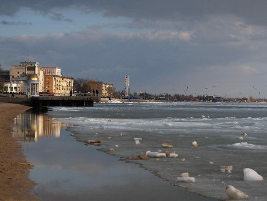 seagul28___berdyansk_see_of_azov_ukraine_v_kravchenko___2006_