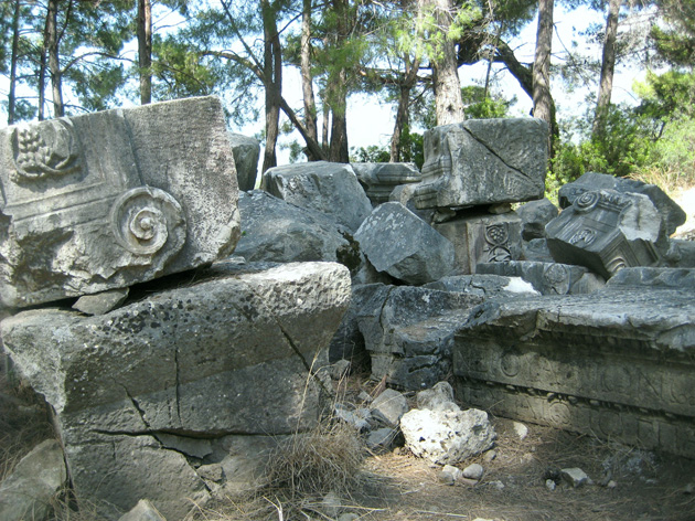 6_phaselis22